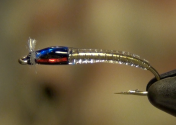 Pro Tips: Top 10 Flies for Stillwater Trout