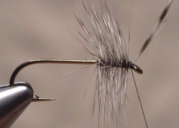 Video: How to Create a Perfect Hackle Collar