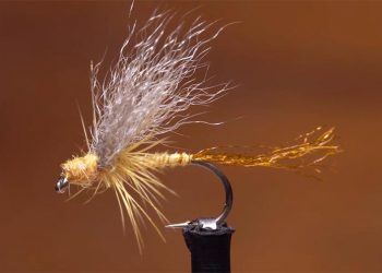 Video: How to Tie the Sulphur Breadline Emerger