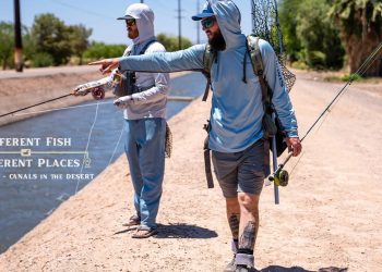 Different Fish Different Places – Moldy Chum