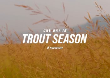 One Day In Trout Season