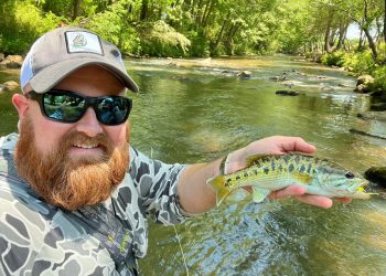 Podcast: Fly-Fishing for Redeye Bass, with Matthew Lewis￼