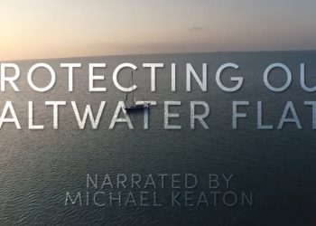 Protecting Our Saltwater Flats – Moldy Chum