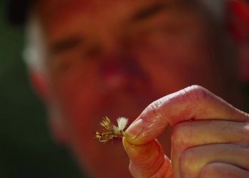 TBT: Sage CIRCA – Moldy Chum