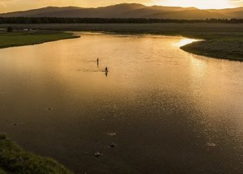 Screen Shot 2022-07-10 at 6.08.12 AM