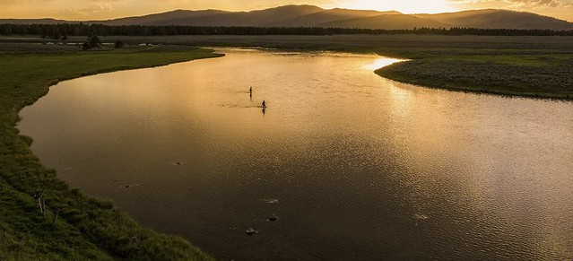 Screen Shot 2022-07-10 at 6.08.12 AM