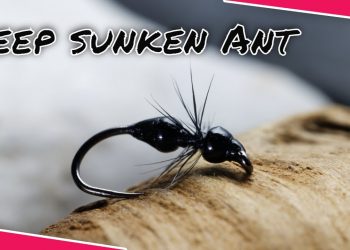 Tying an euro nymphing ant fly pattern( double beaded,deep sunken)