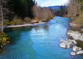 The Willamette River flowing west through Greenwaters Park in Oakridge, Oregon