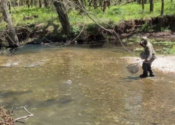 A Special Sunday Euro Nymphing / Fly Fishing  #ozarkseuro #cortlandline