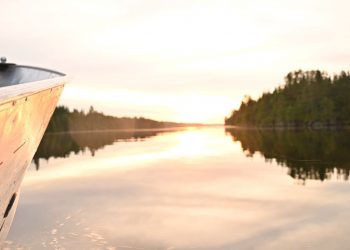 Chasing 50 – Moldy Chum