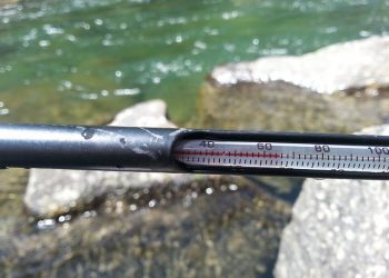 RussRicketts_RiverSnorkeling