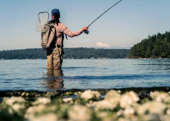 Dog Days of Summer – Moldy Chum