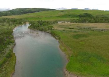 Master Class Monday: How to Catch Trout from Tailouts