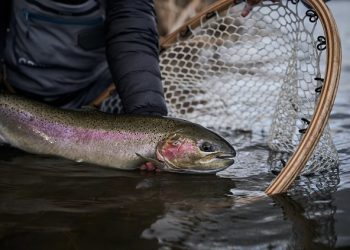 Screen Shot 2022-08-12 at 5.03.53 AM