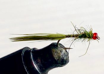 The Damsel Fly Nymph