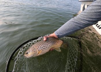 Trout Fishing Big Lakes, Part 2: The Deep Rig