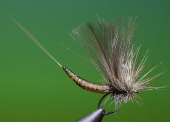 Tying Tuesday: Extended Body Mayfly Dry Fly