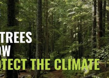 Screen Shot 2022-08-26 at 7.32.13 AM