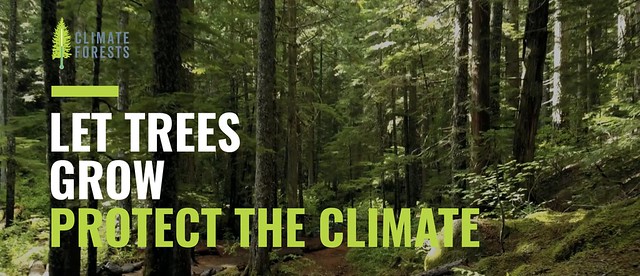 Screen Shot 2022-08-26 at 7.32.13 AM