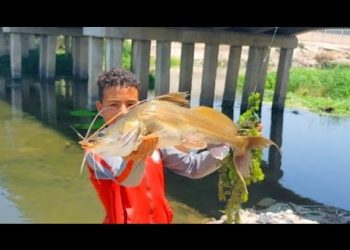 قمة المتعه فى صيد أسماك البياض المفترسه🔥