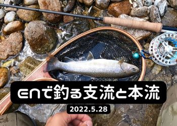 【ユーロニンフ】2022.5.28 ENで釣る支流と本流 【Euro Nymphing】