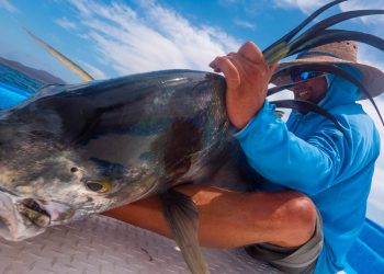 Flyfishmex 2022 Season – Moldy Chum