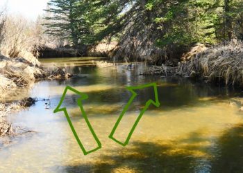 Master Class Monday: How to Follow Other Anglers, Part II