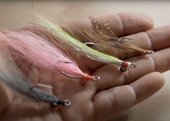 Pro Tips: Alvin’s Top 5 Flies for Redfish￼