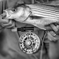 Story: Appropriate Feelings of Superiority