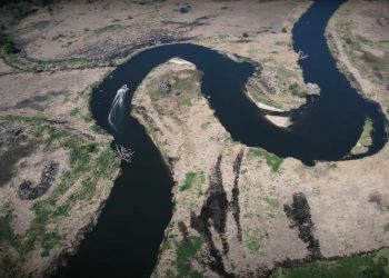 Video: “Follow the Water” Gets to the Heart of Everglades Restoration