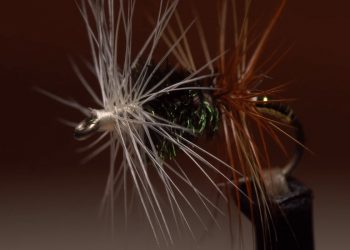 Video: How to Tie the Renegade