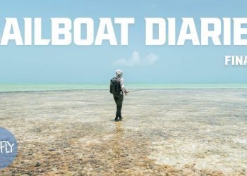 14-Day Saltwater Fly Fishing Trip in the Caribbean