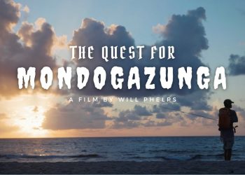 7 Days of Snook Fly Fishing in Florida