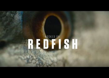 Hooked On: Redfish | COSTA FILMS