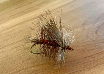 October Caddis Stimulator Dry Fly Pattern