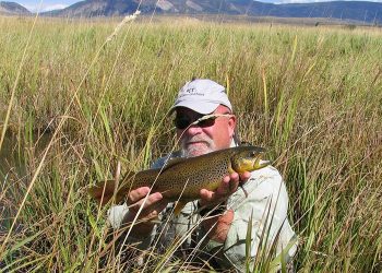 Pro Tips: How to Make the Most of Your Bank Shots