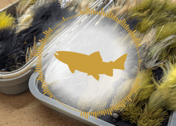 Troutbitten Podcast: The Spooky Trout