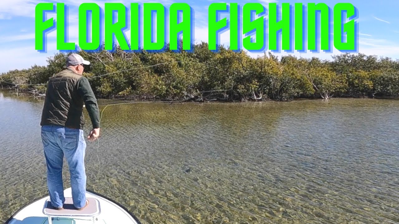 2 afternoons in Florida (fly fishing) Fishing Fly Tackle