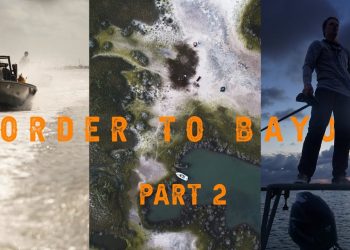 Border to Bayou : Part 2