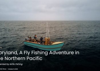 Screen Shot 2022-11-15 at 6.13.16 AM