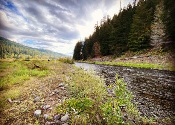 72936633-DF0C-43D5-91D0-C0B2891FD62A