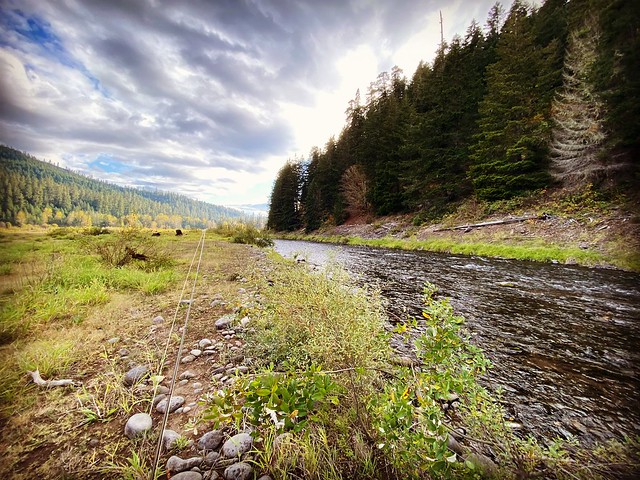 72936633-DF0C-43D5-91D0-C0B2891FD62A