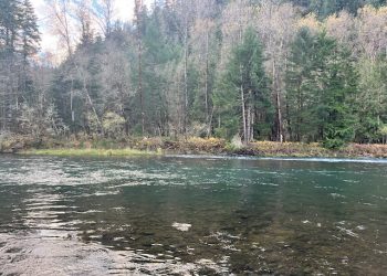 Late November Mckenzie & Willamette Report