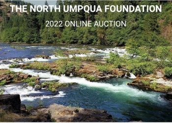 Screen Shot 2022-11-11 at 3.46.29 AM