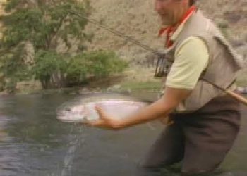 TBT: Fly Fishing for Trophy Steelhead with Lani Waller