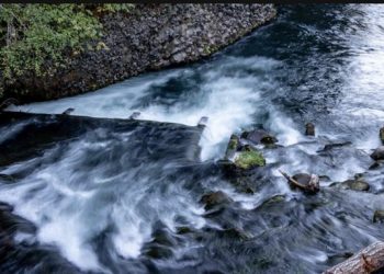 Screen Shot 2022-11-04 at 9.07.47 AM