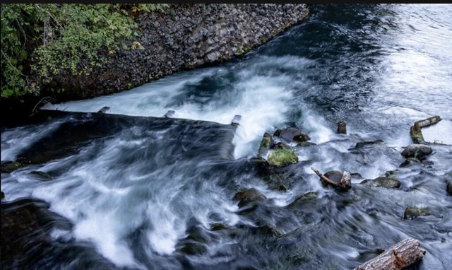 Screen Shot 2022-11-04 at 9.07.47 AM