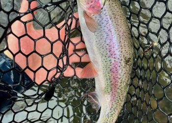 Mid December Fishing Report | The Caddis Fly: Oregon Fly Fishing Blog
