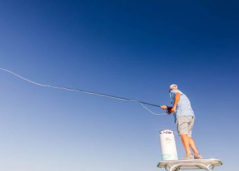 Saltwater anglers have a chance to chime in on fisheries management