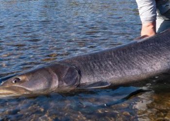 Story: The Last Moment of Silence